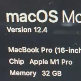 맥북 프로 m1 pro ram 32G ssd 1tb 판매