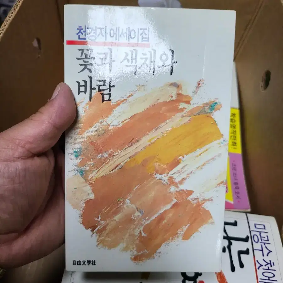 천경자 에세이집 꽃과 색채와 바람 1986년 자유문학사 초판