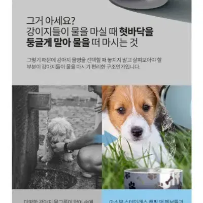 아소부 스테인레스 캠핑앤펫 대용량 1.1L 보틀 반려동물용품