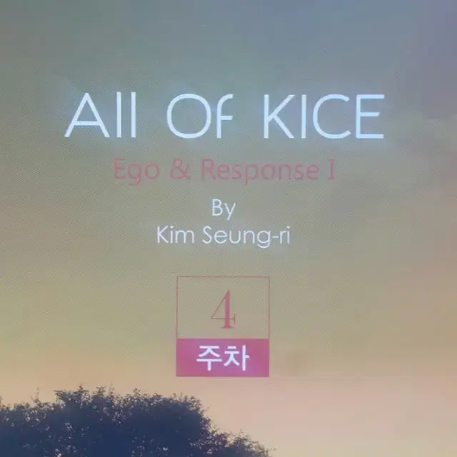 대성마이맥 국어 김승리 올 오브 카이스 4주차 All Of KICE