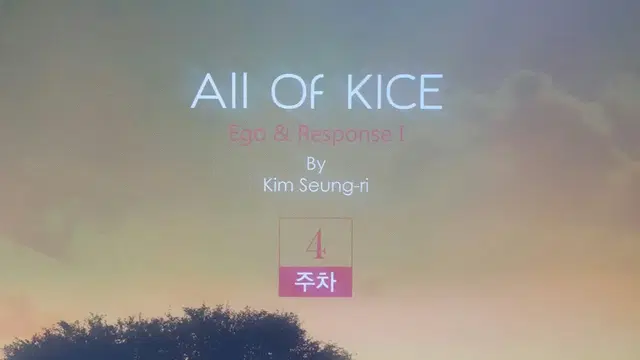 대성마이맥 국어 김승리 올 오브 카이스 4주차 All Of KICE