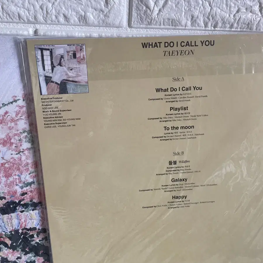 태연 lp 엘피 what do i call you 왓두콜 <미개봉새상품>