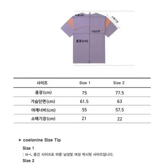 새 상품) 코엘로나인 - 삥줄 포인트 배색반팔티(딥블루)