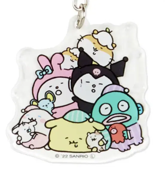 Nagano Sanrio Collaboration Pompompurin acrylic Random Keyring