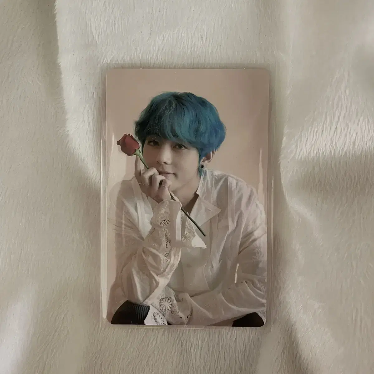 메모리즈 태형 포카
