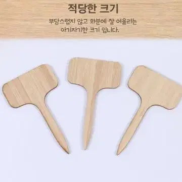 대나무 우드 식물 화분 꽃 이름표 팻말 꽂이 다용도 꽂이 | 브랜드 중고거래 플랫폼, 번개장터