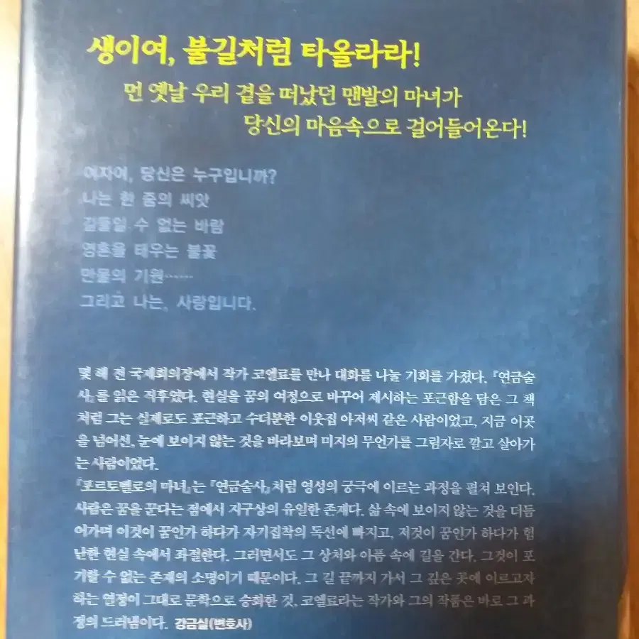 포르토벨로의 마녀