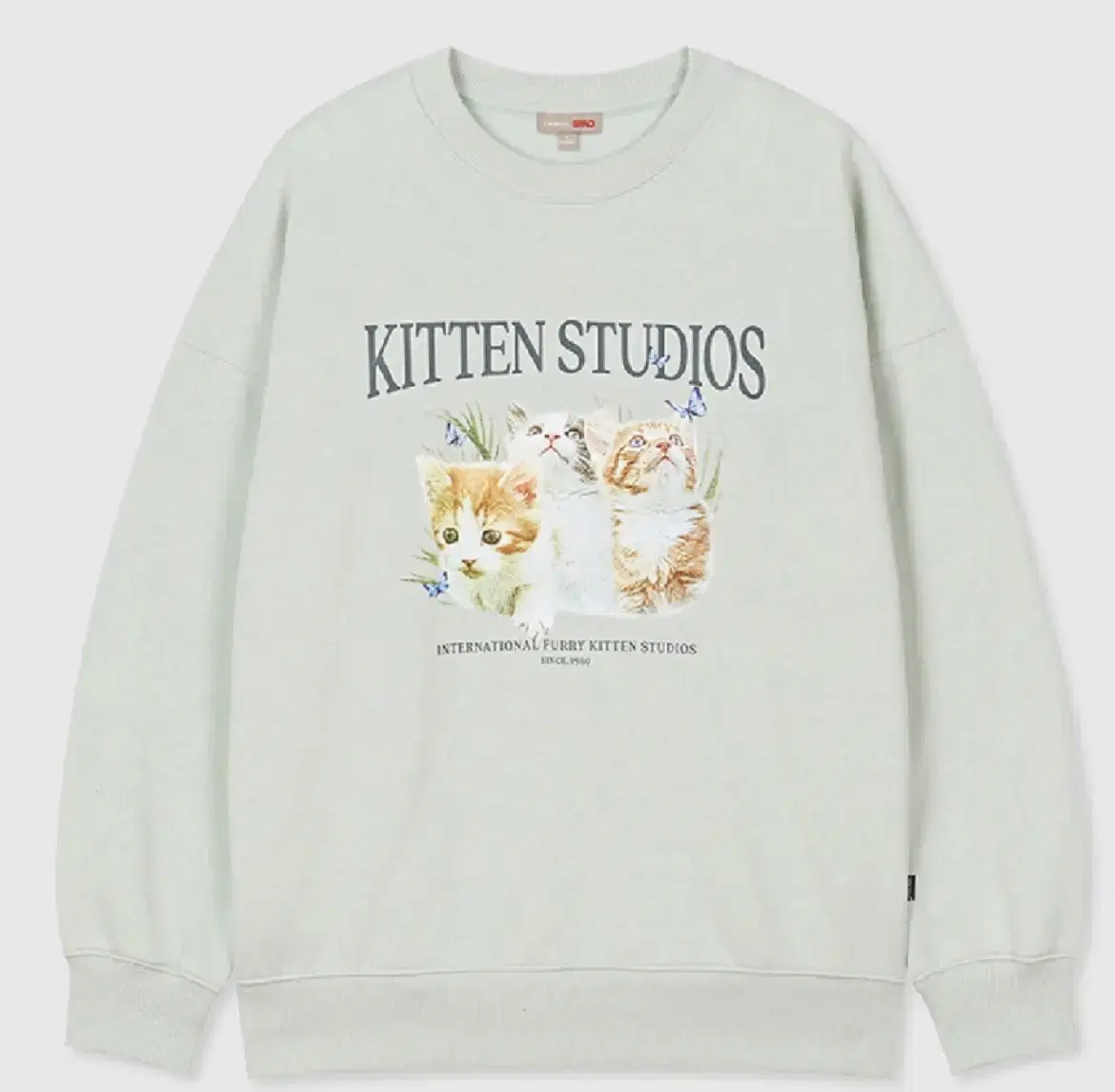 SPAO Kitten Graphic Cat Man-to-man