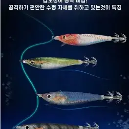 수평에기 20개  에기 문어 쭈꾸미 갑오징어 낚시 새상품