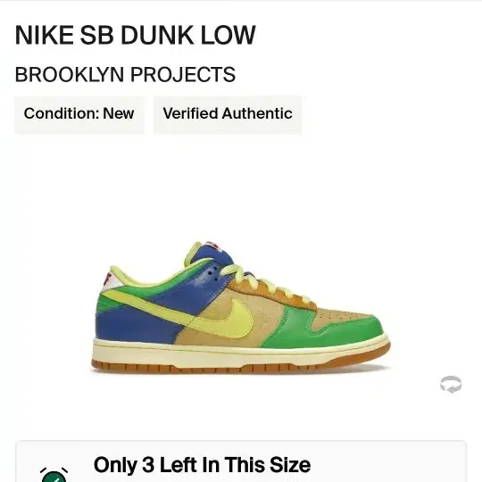 Nike SB Dunk Brooklyn Projects 2009