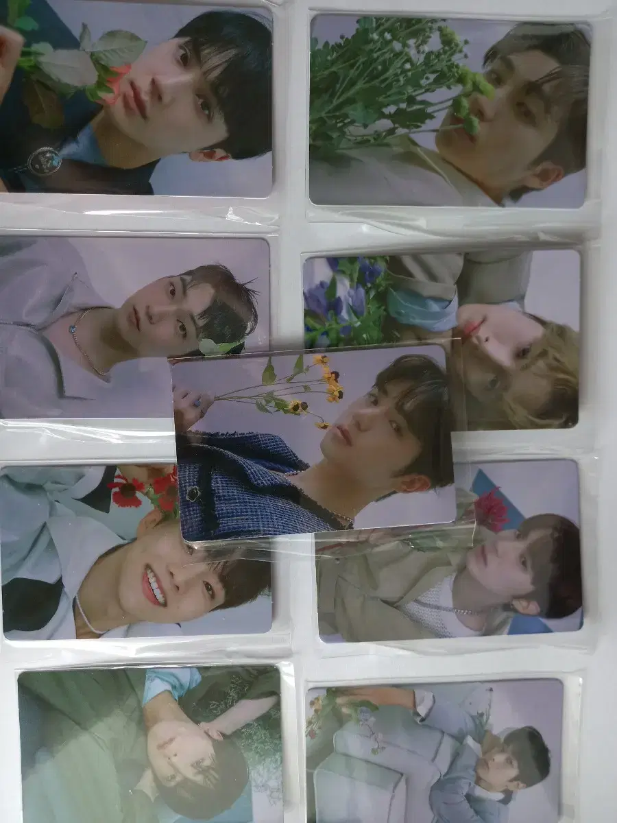 The Boyz photocard in bulk