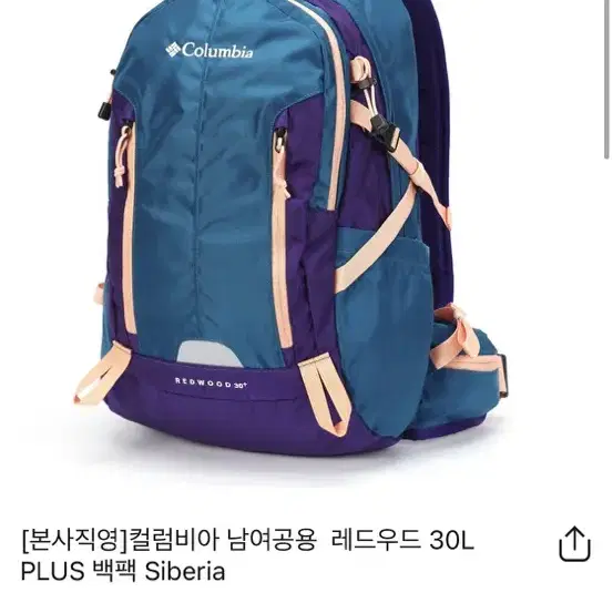 컬럼비아 등산가방