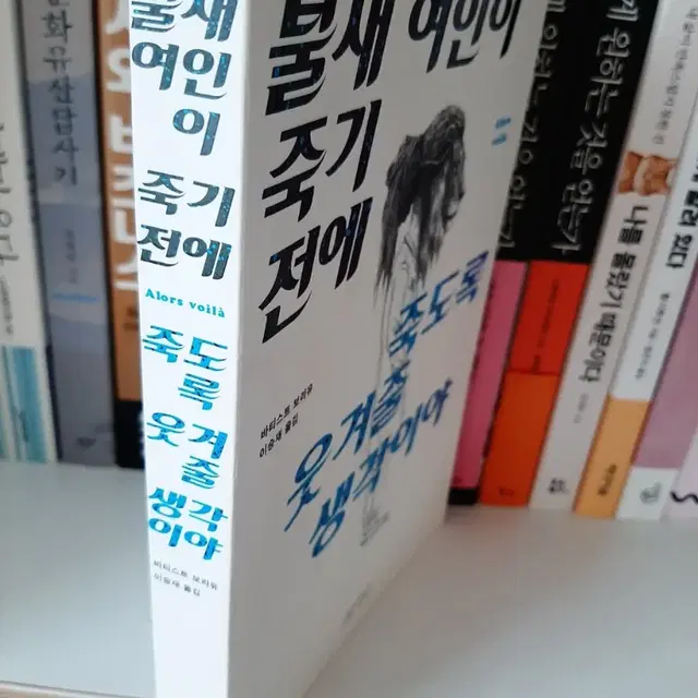 나의 문화유산 답사기.최상상태 .권당7000