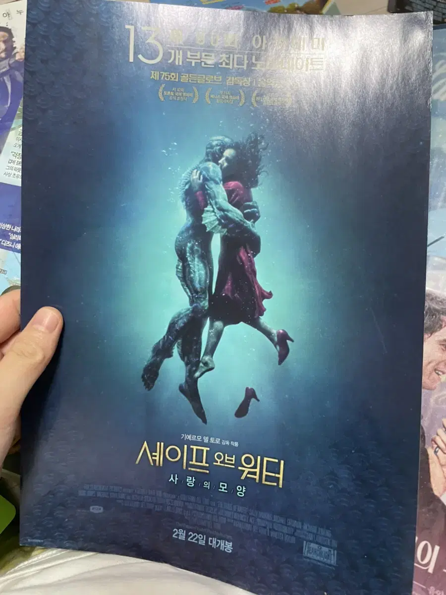 Shape of Water Pamphlet