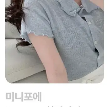 미니포에 휘핑카라탑 보라 롱롱