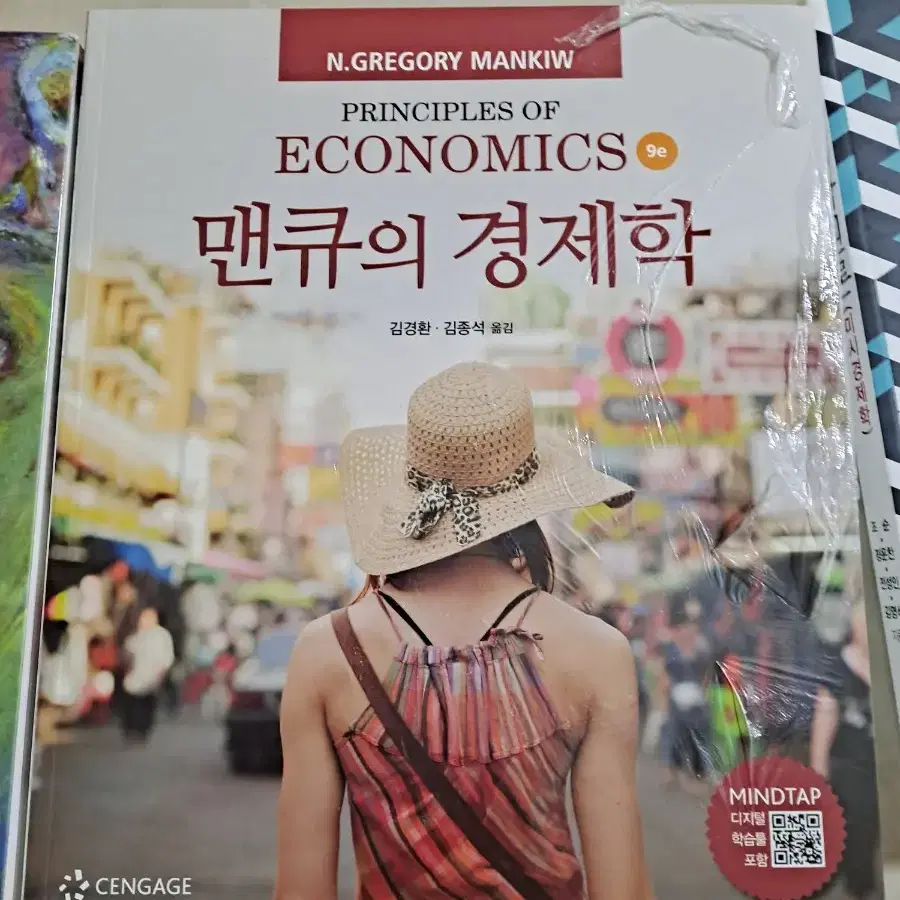 경제학원론, 맨큐의 경제학