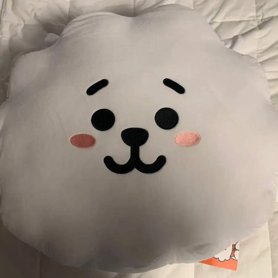 방탄 bt21 알제이 42cm 원가양도 합니다!