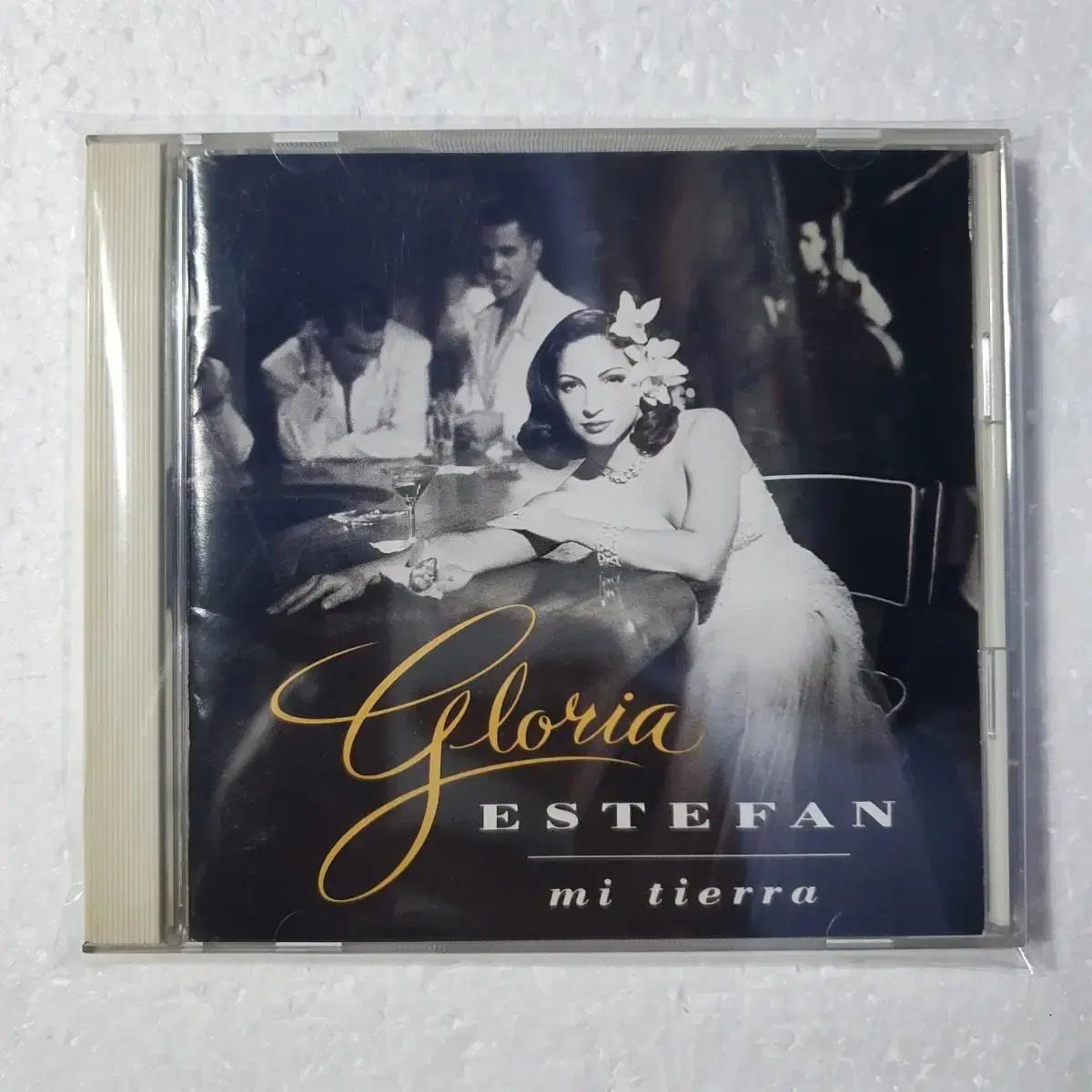 글로리아 에스테판 Gloria Estefan mi tierra CD 중고