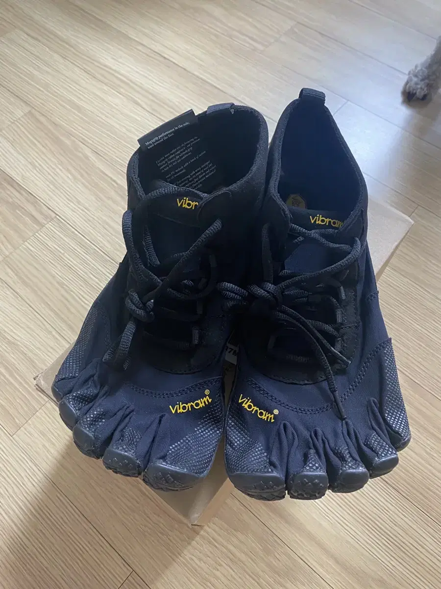 Vibram Five Fingers V-TREK Running Shoes Running Shoes Hiking Shoes