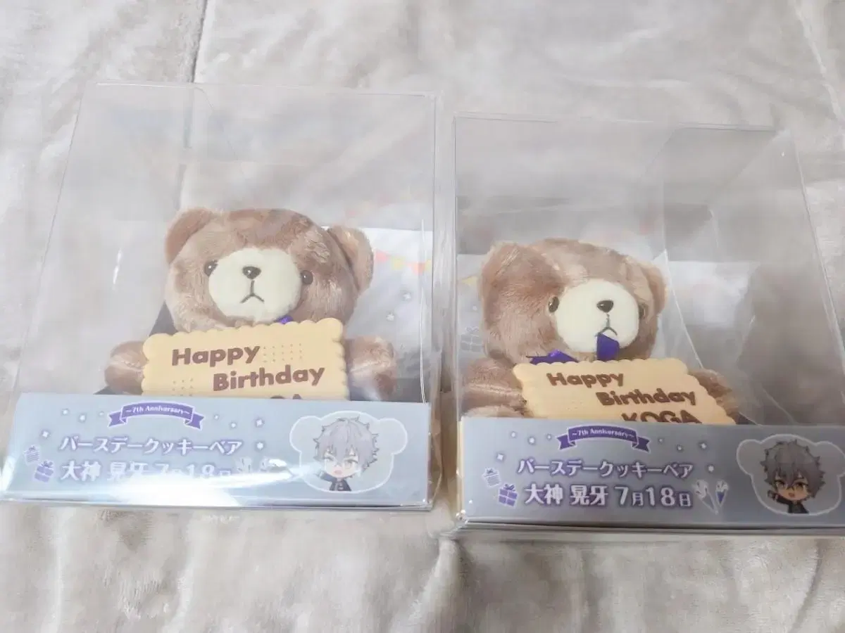 Nosey Birthday Bear Cookie Bear +Pre-Order Benefit Acrylic