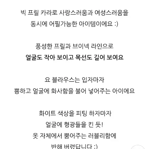 빅카라 블라우스