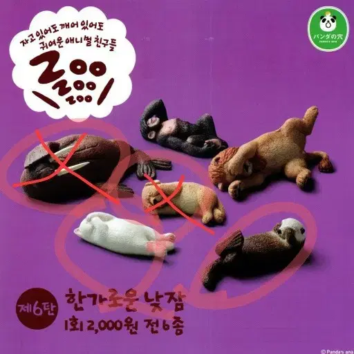 zoo zoo zoo 주주주 잠자는 동물 가챠 교환해요:)