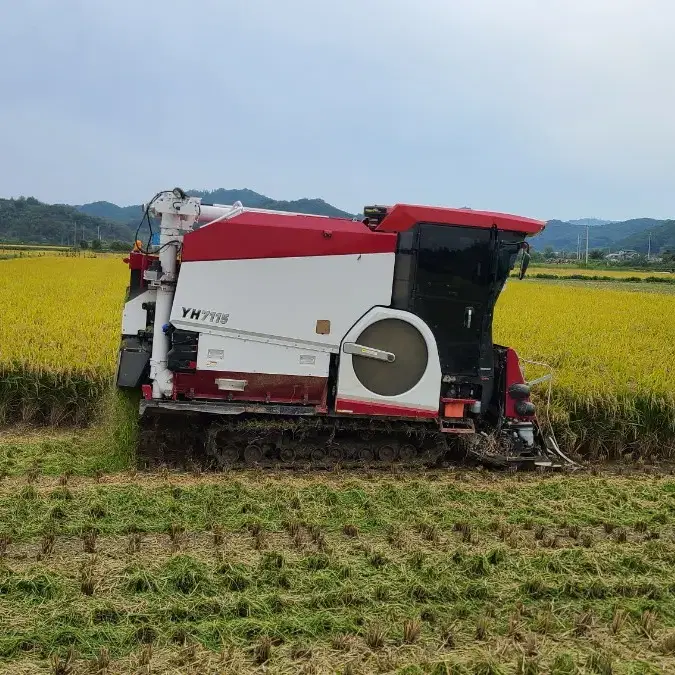 2022년 맛있는 철원오대쌀 팝니다