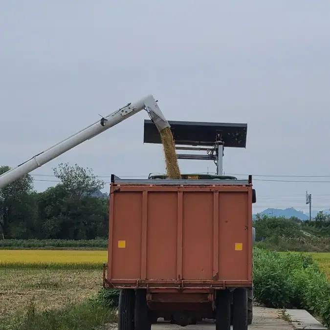 2022년 맛있는 철원오대쌀 팝니다