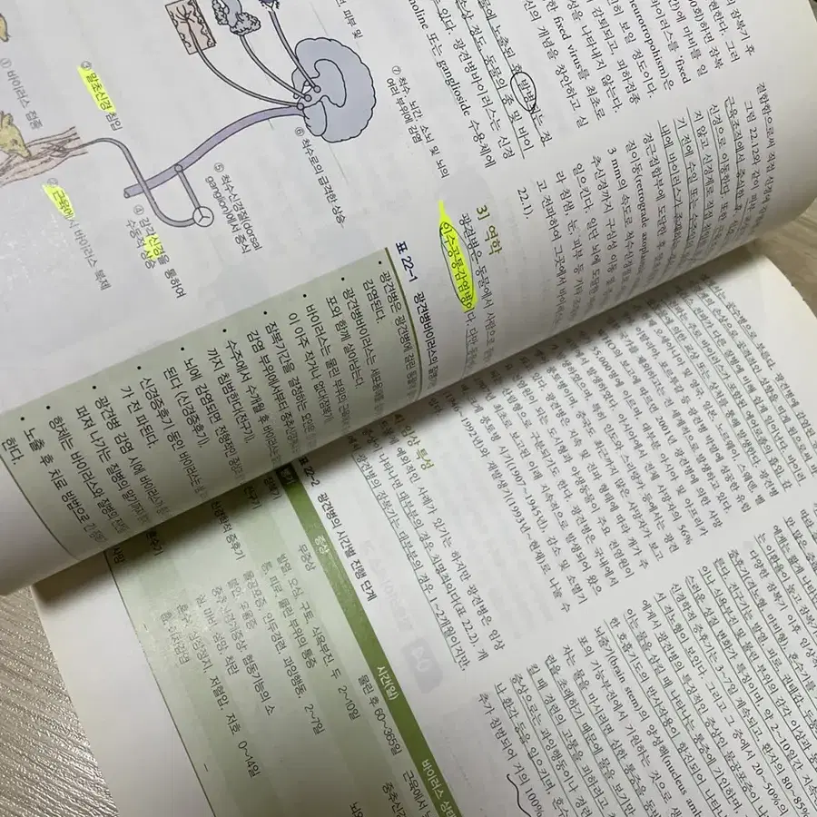 간호학개론/병리학/간호미생물학