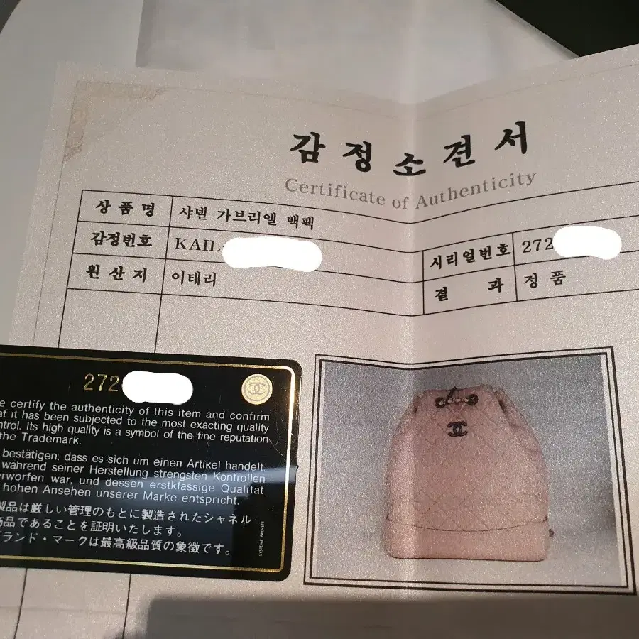 샤넬 제니백팩 가브리엘 백팩 미디움