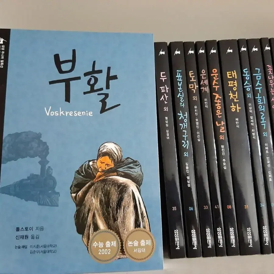 부활.보바리 부인.세계 명작 권당3000원.거의 새책