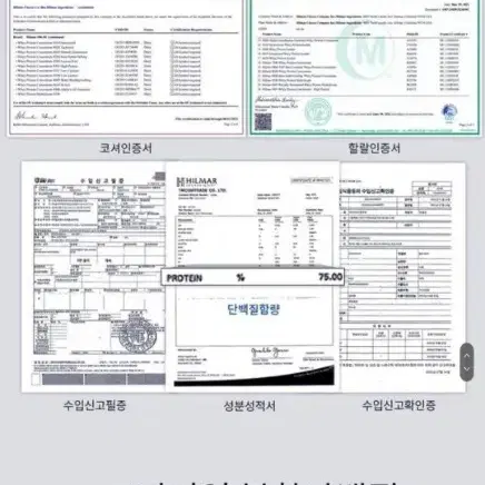 위드바이오 산양초유 프로틴 300g