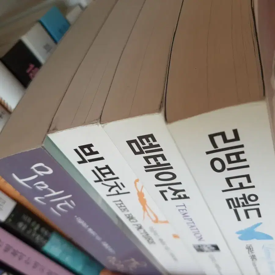 더글라스 케네디.빅피처.모멘트.리빙 더월드.권당 7000원 거의 새책