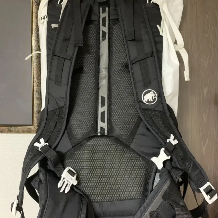 마무트 백팩 트리온 라이트 38l Trion Light Backpack