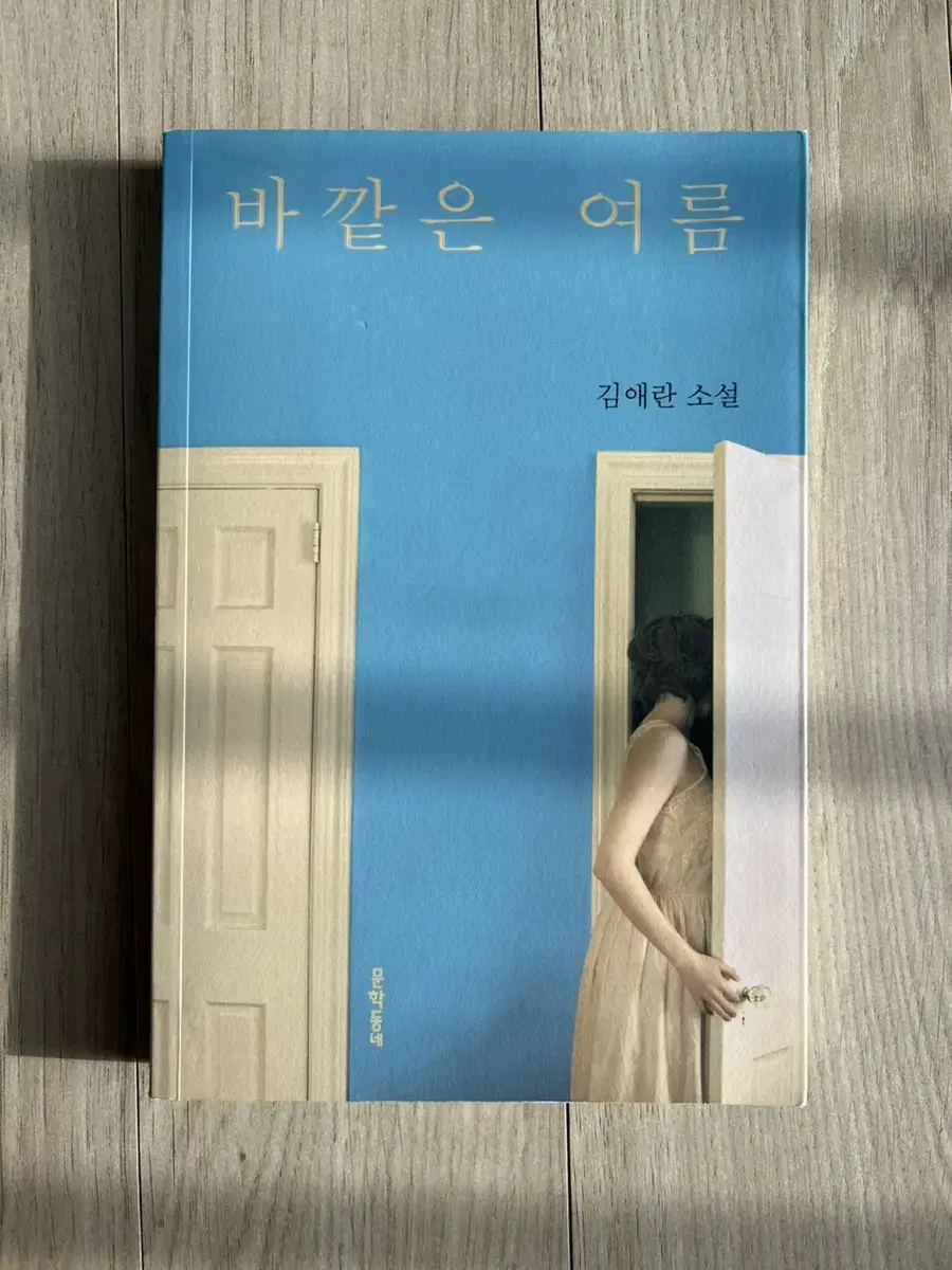 도서 바깥은 여름 | 브랜드 중고거래 플랫폼, 번개장터