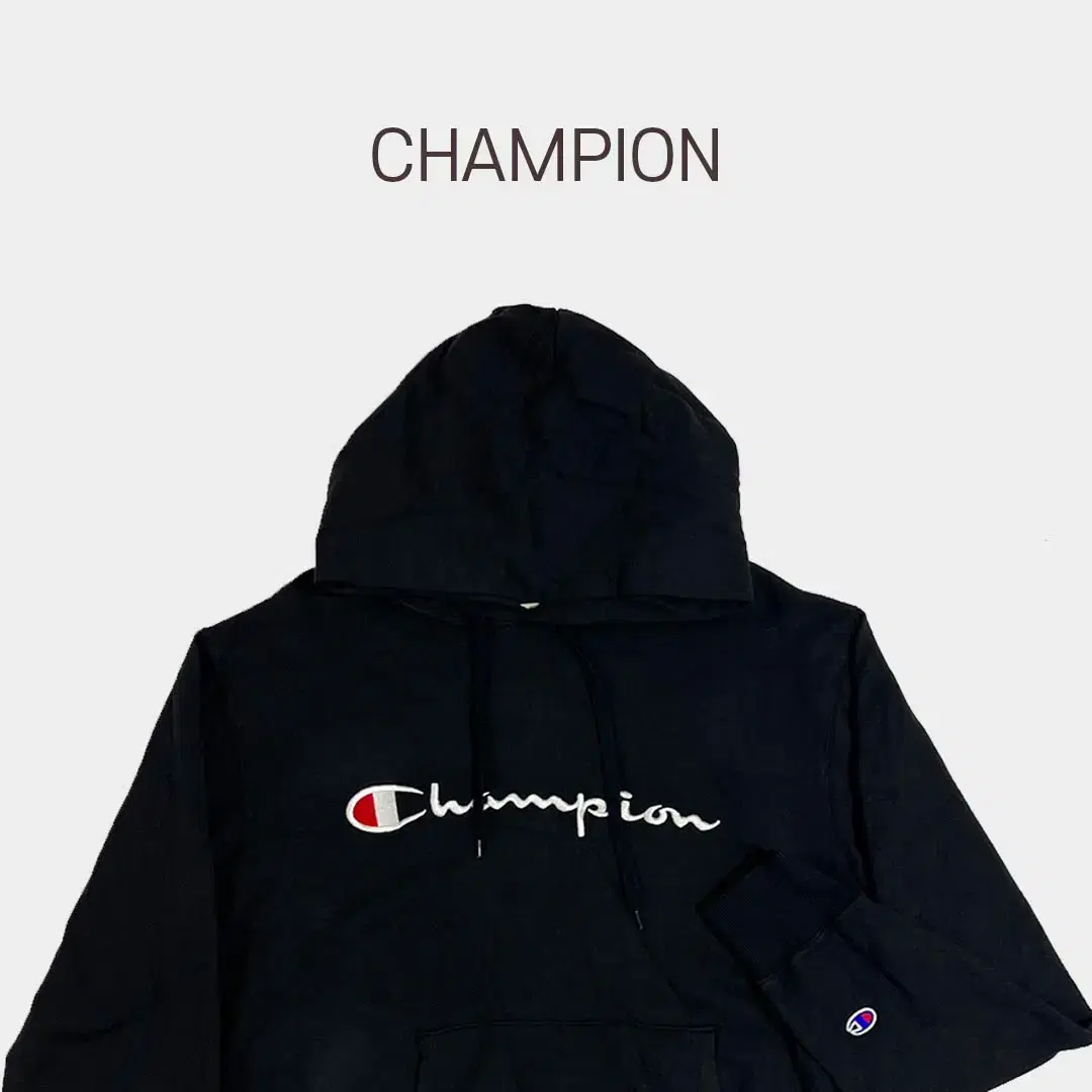 Champion Big Logo Hoodie BM1630