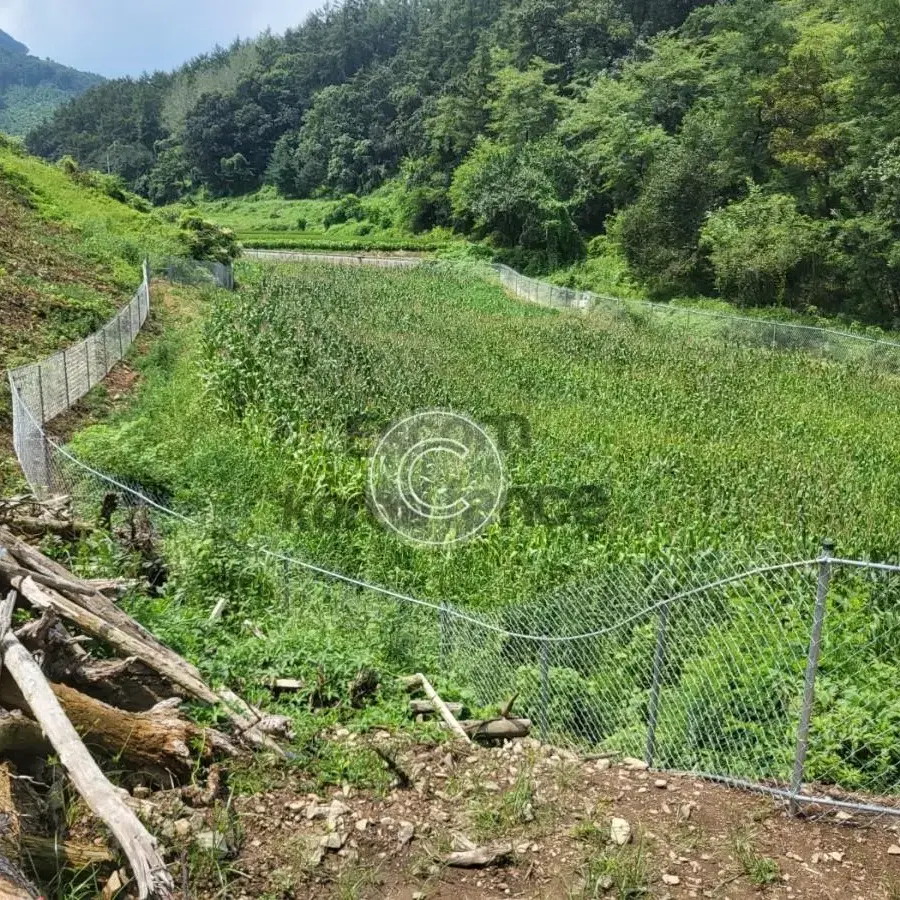 휀스 펜스 울타리 철망울타리  시공 멧돼지 고라니 방지