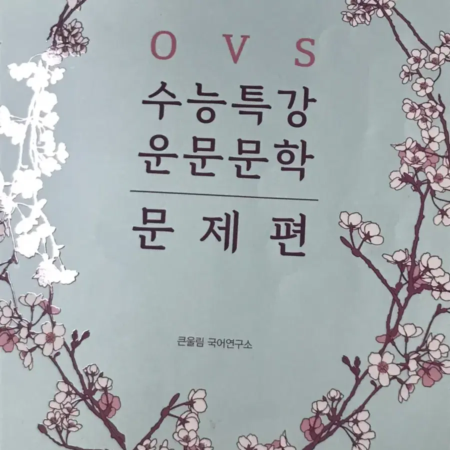 ovs 운문문학 문제편