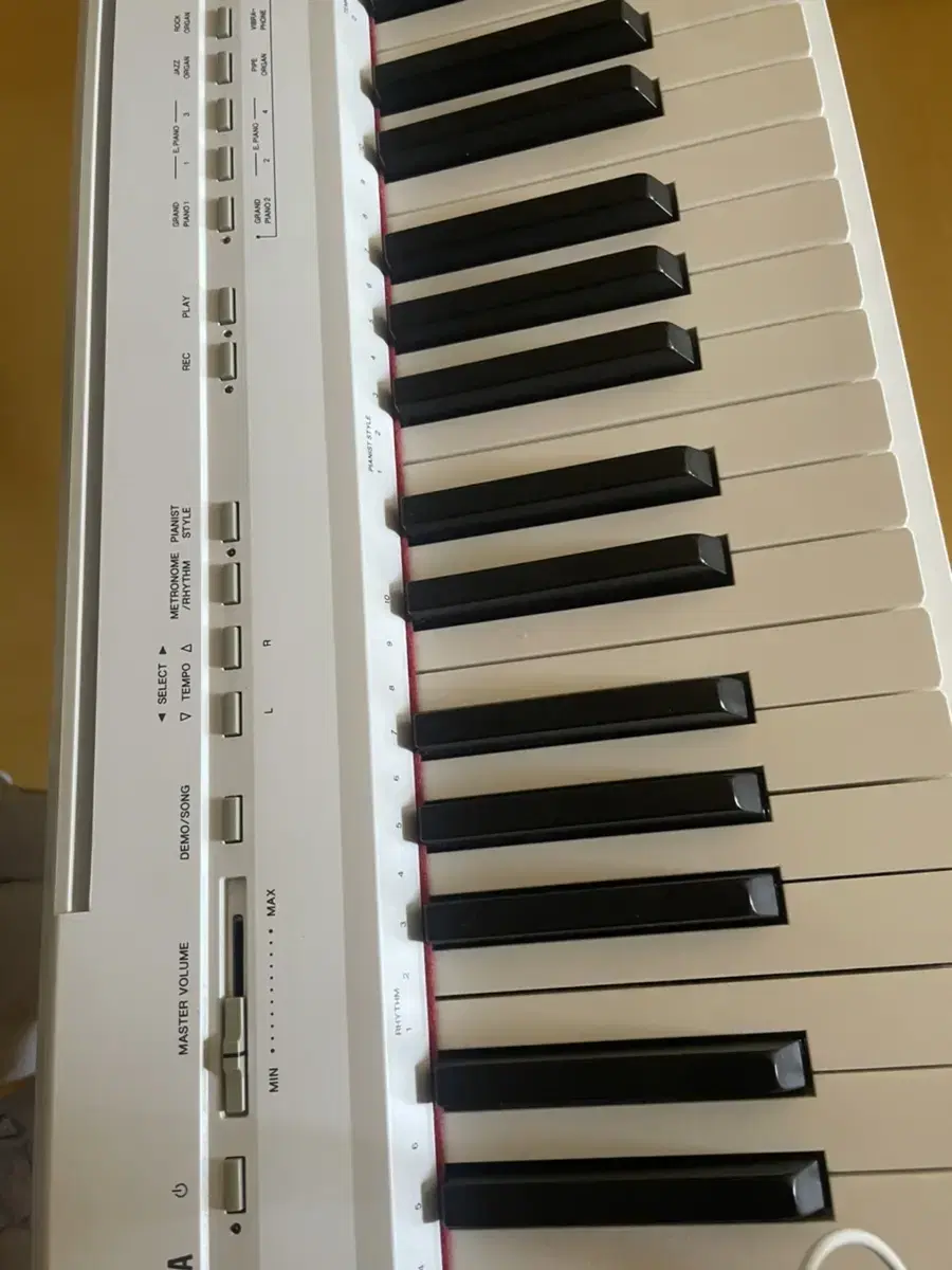 Yamaha P-105