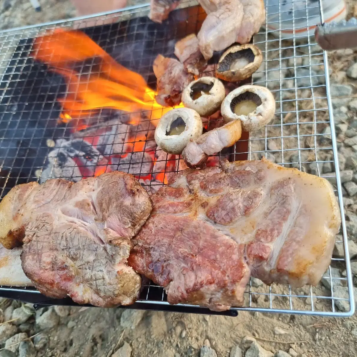 부모님 펜션 접으면서 정리합니다 캠핑 바베큐용 자작나무 숯 5kg 팝니다