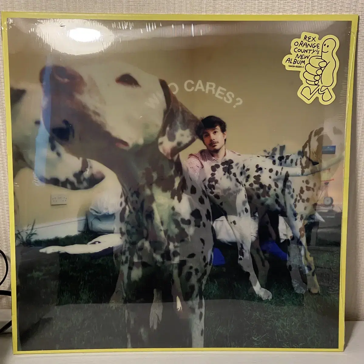 미개봉) 렉스 오렌지 카운티 who cares lp 바이닐