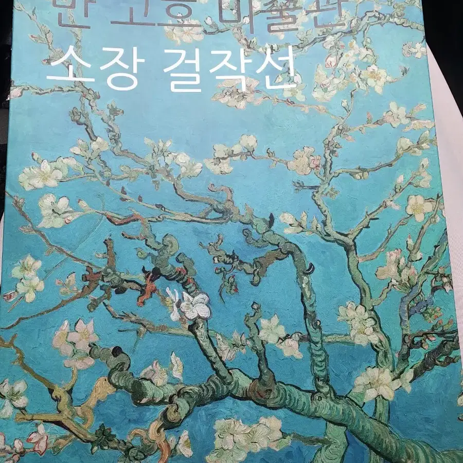 반고흐미술관 소장 걸작선