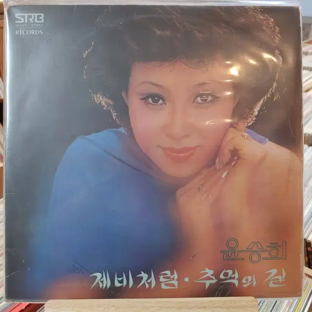 소정가치 초반 ~~윤승희 LP 할인  가격