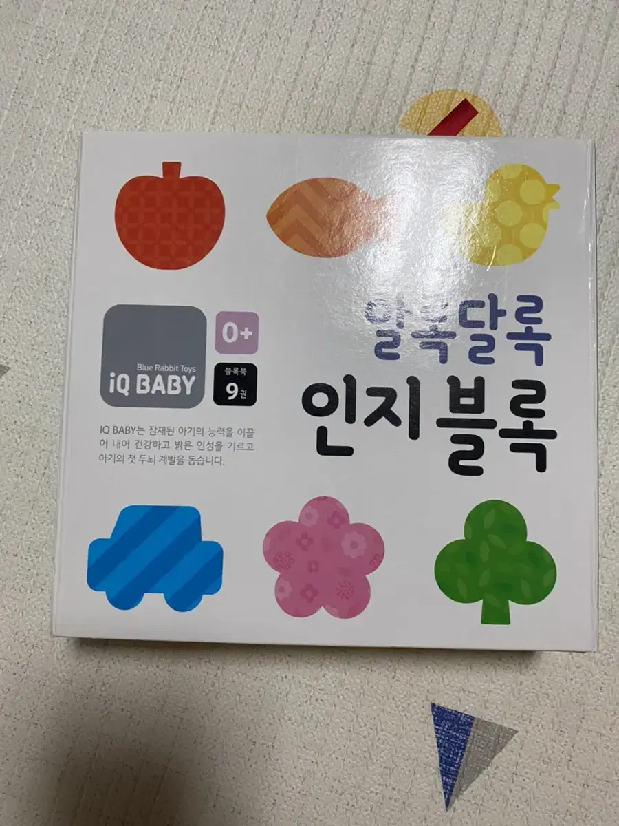 블루래빗 인지블록