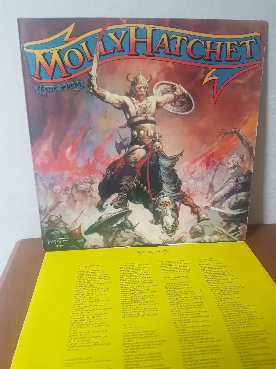 서던록 Molly Hatchet 오리지널 미국반 엘피 바이닐 lp