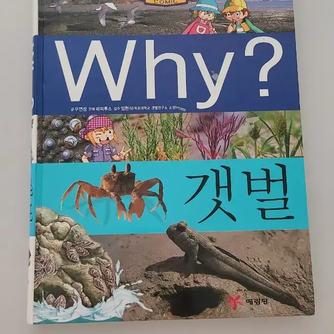 why 갯벌