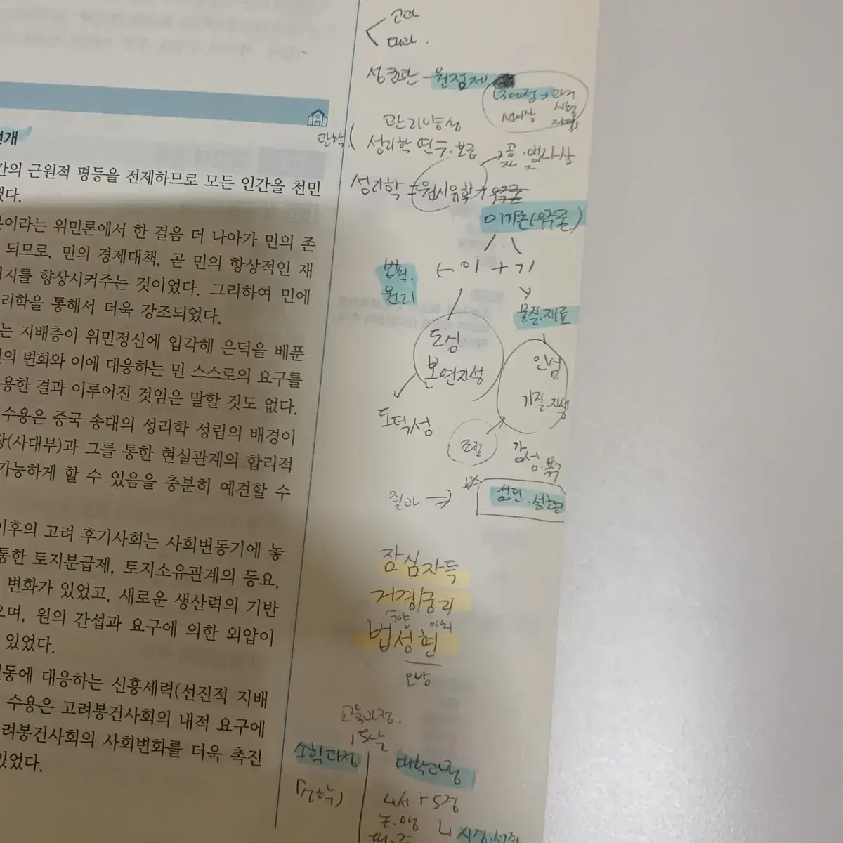 김현 교육학 키위와 키위 마인드맵