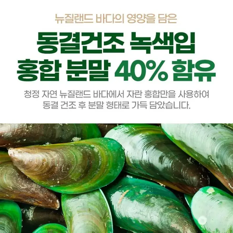 (A)관절에좋은 초록입홍합 1개월 8500원에 드립니다