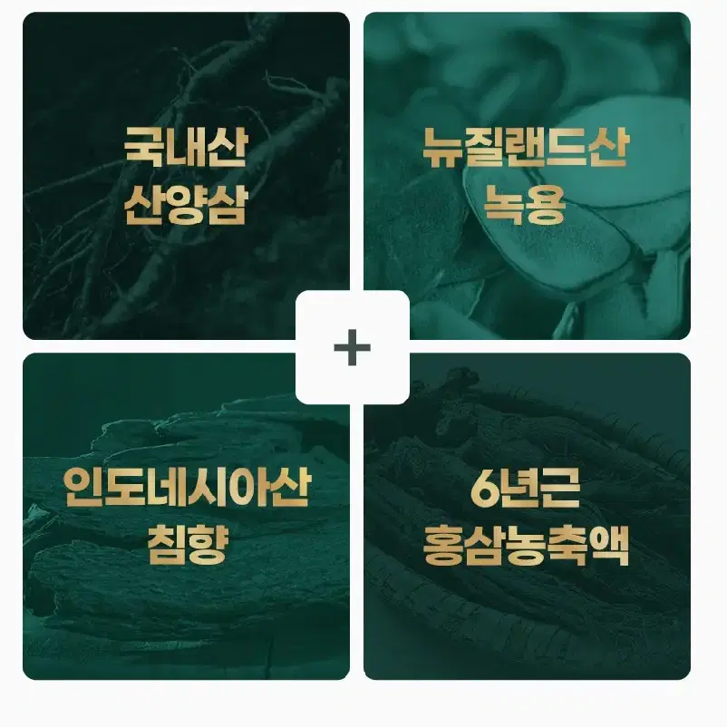 무료배송 100포 농협 천녹용홍삼침향 진액스틱 홍삼 침향 녹용