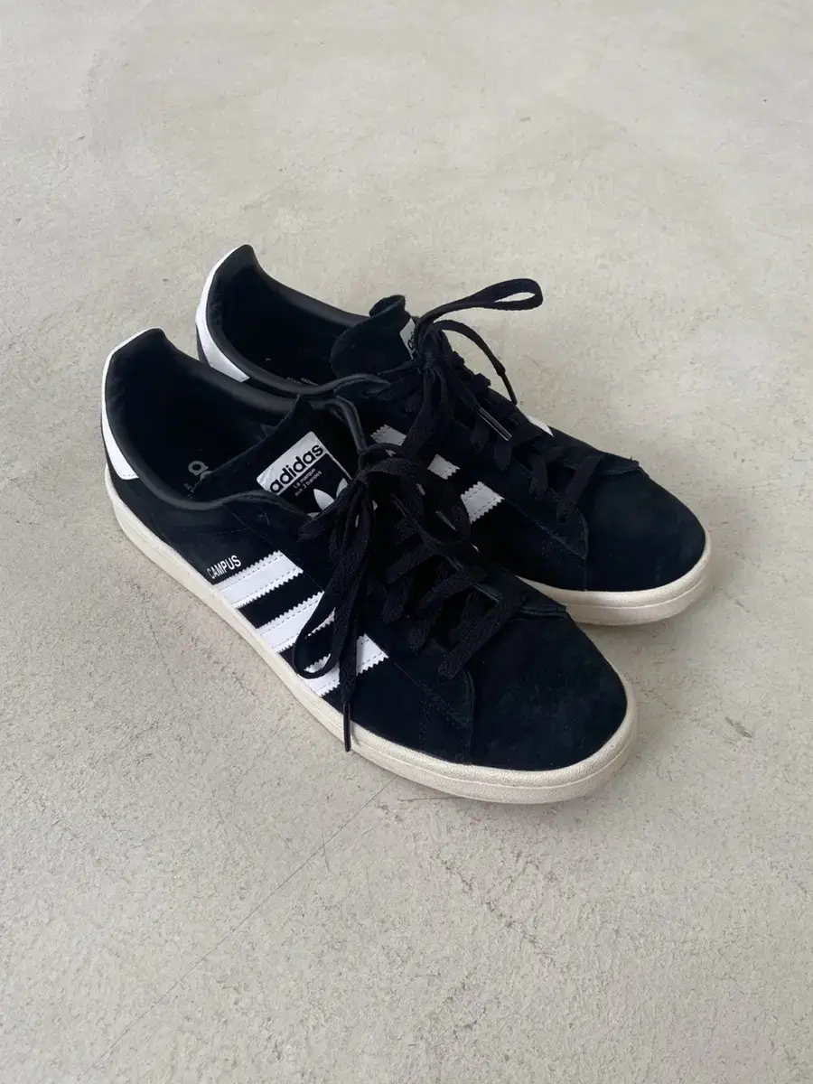 Adidas Campus80s 270